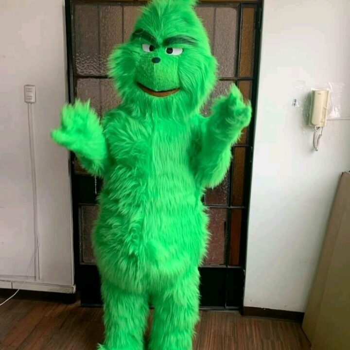 Grinch-character-a55b35e